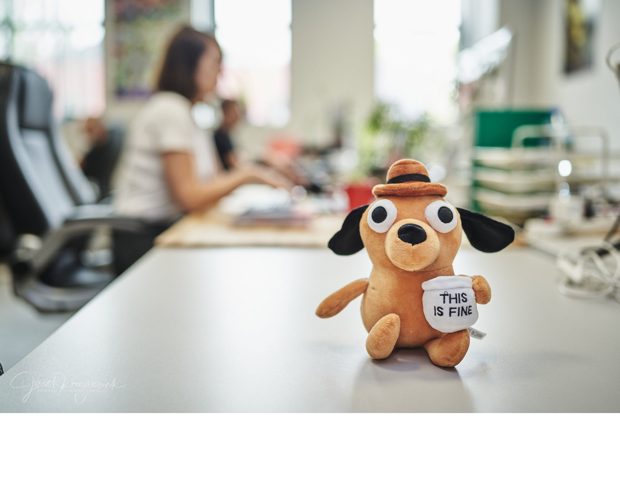 Embevity – 5 years of embedded R&D